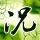 一比一原版台湾南华大学文凭学位【degxx.com】